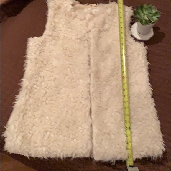 LOGGLabel of Graded Goods H&M Faux Fur Women’sVest - Picture 5 of 6